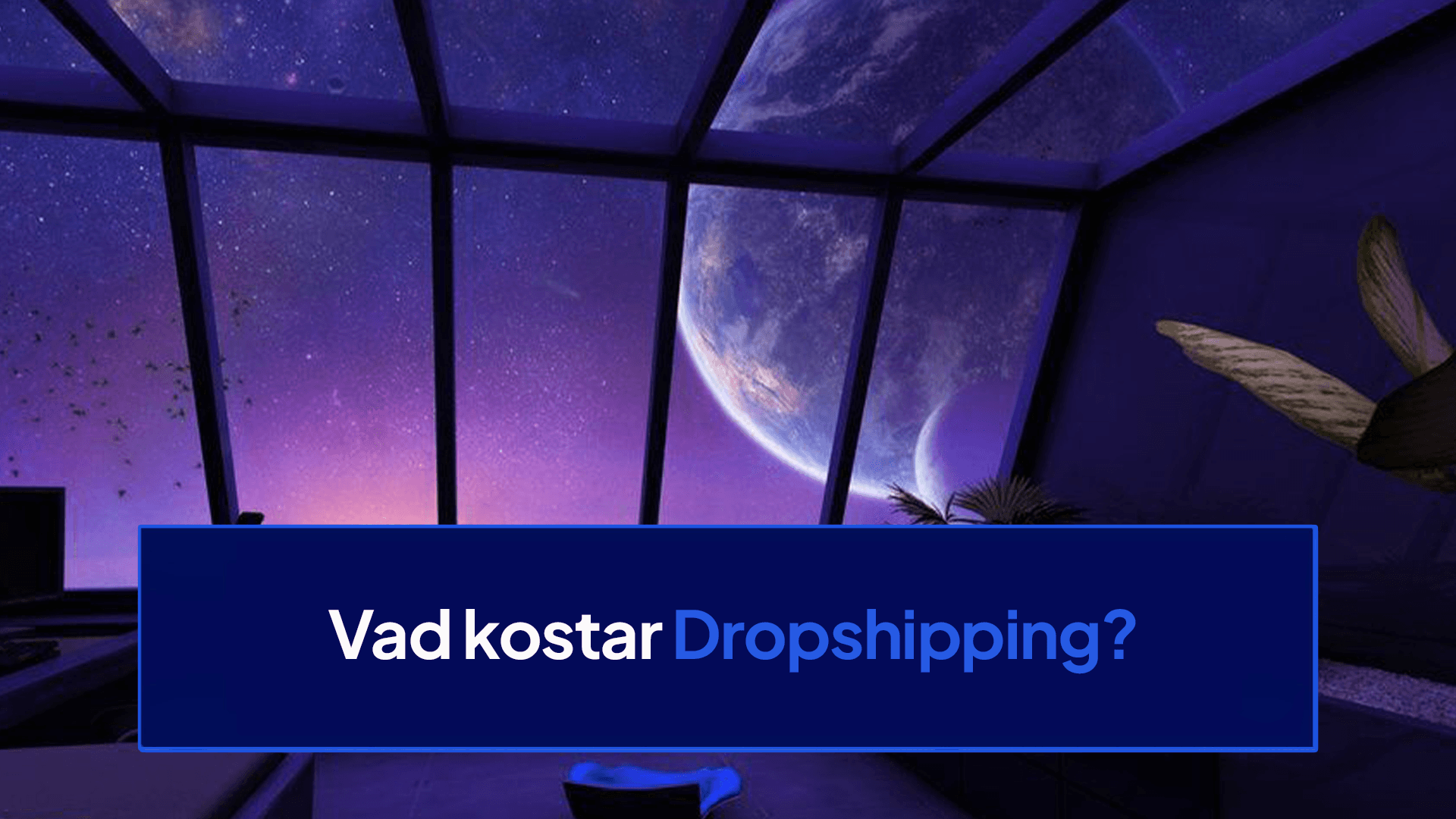 Vad kostar Dropshipping?