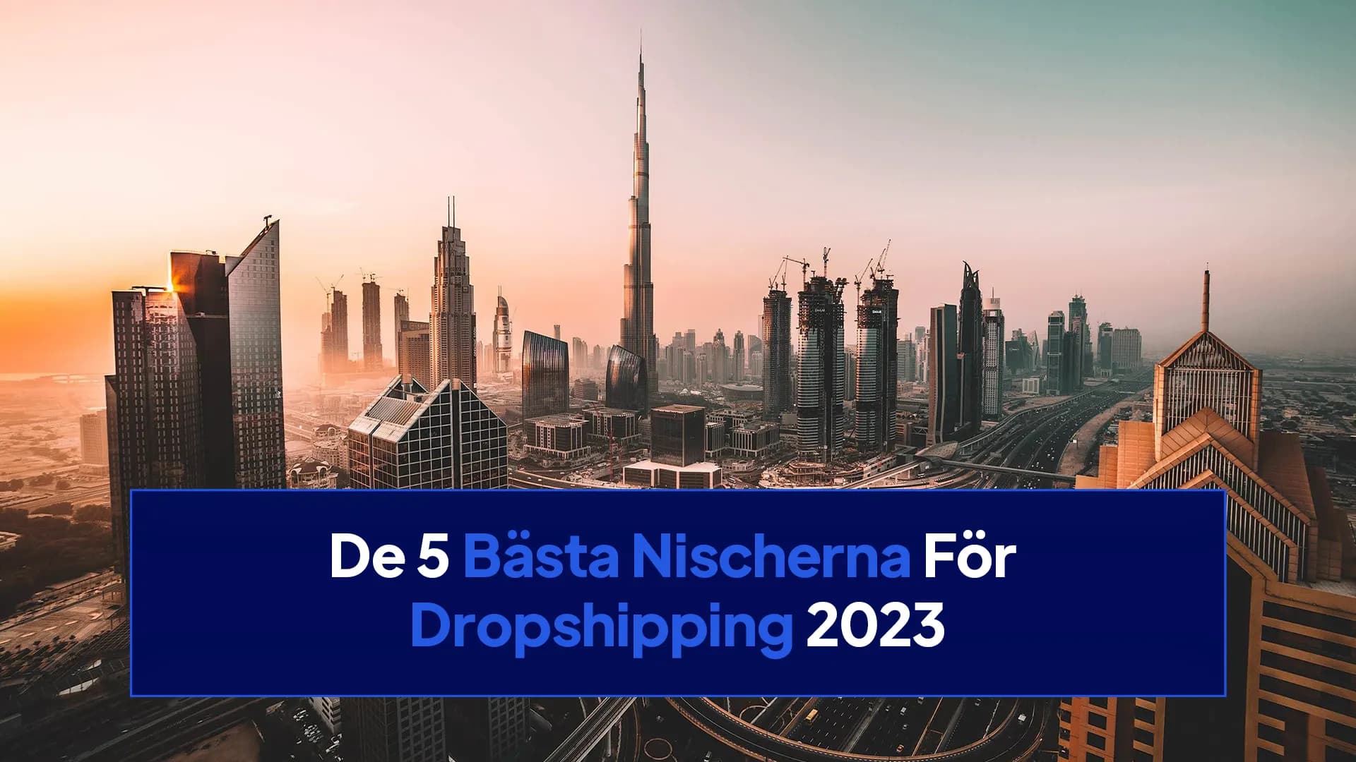 De 5 Bästa Nischerna För Dropshipping 2024