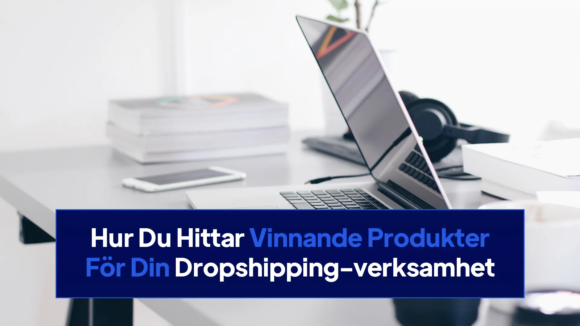 Hur Du Hittar Vinnande Produkter För Din Dropshipping-verksamhet